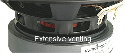 Extensive_venting